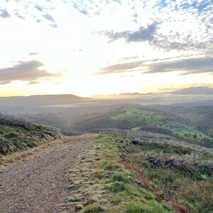 Meet your Posher, Kristin